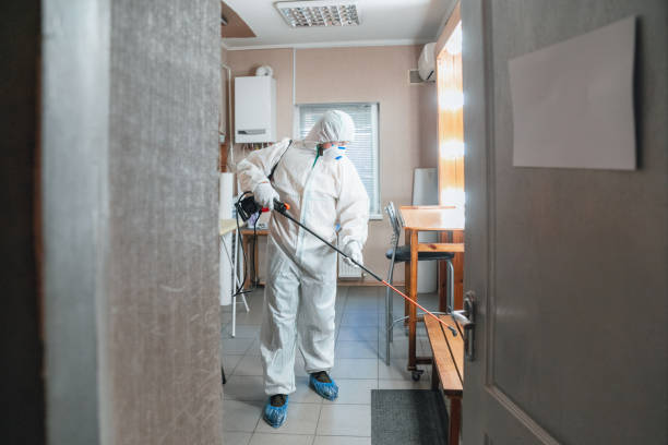 Forensic Mold Investigation